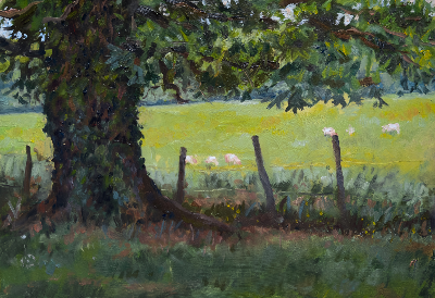 Le Chêne 