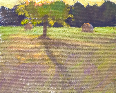 Lumière du soir 