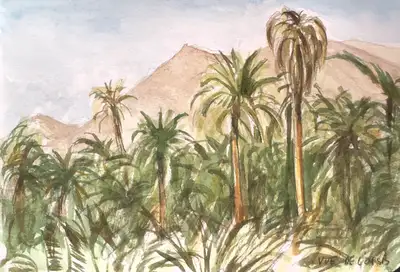 vue de l'oasis de Tighmert